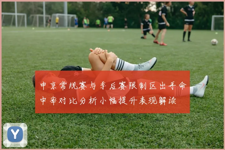 申京常规赛与季后赛限制区出手命中率对比分析小幅提升表现解读